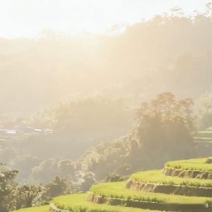 9000 没有一朵花从一开始就是花，扎根的岁月里默默汲取养分，扛过风雨，终会在某