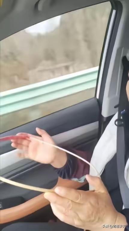 “人怎么能这么聪明！”浙江，一男子的母亲晕车严重，为了让母亲舒服，男子找了一个树