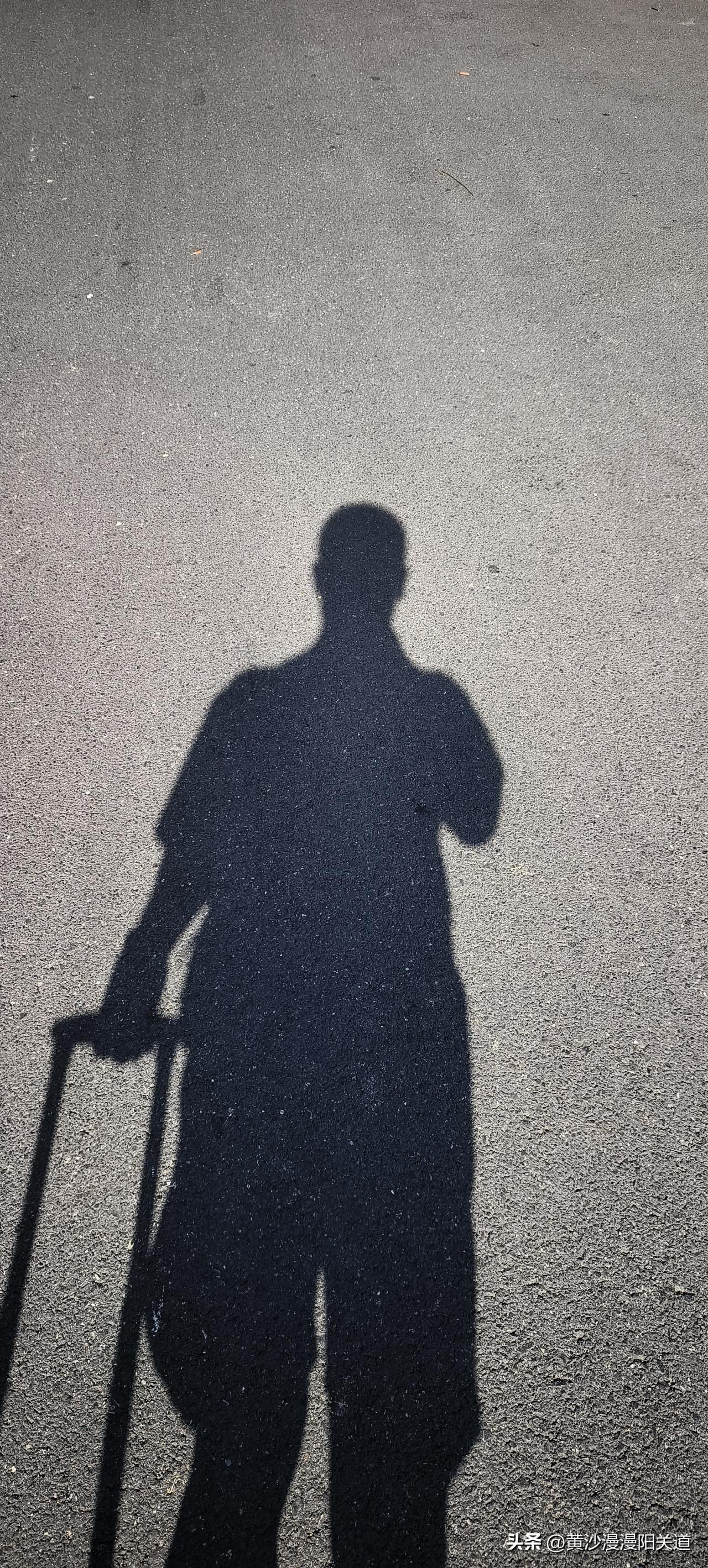 炙烤的水泥路面……
一直延伸到中转的北京——祥子奔跑的热土。