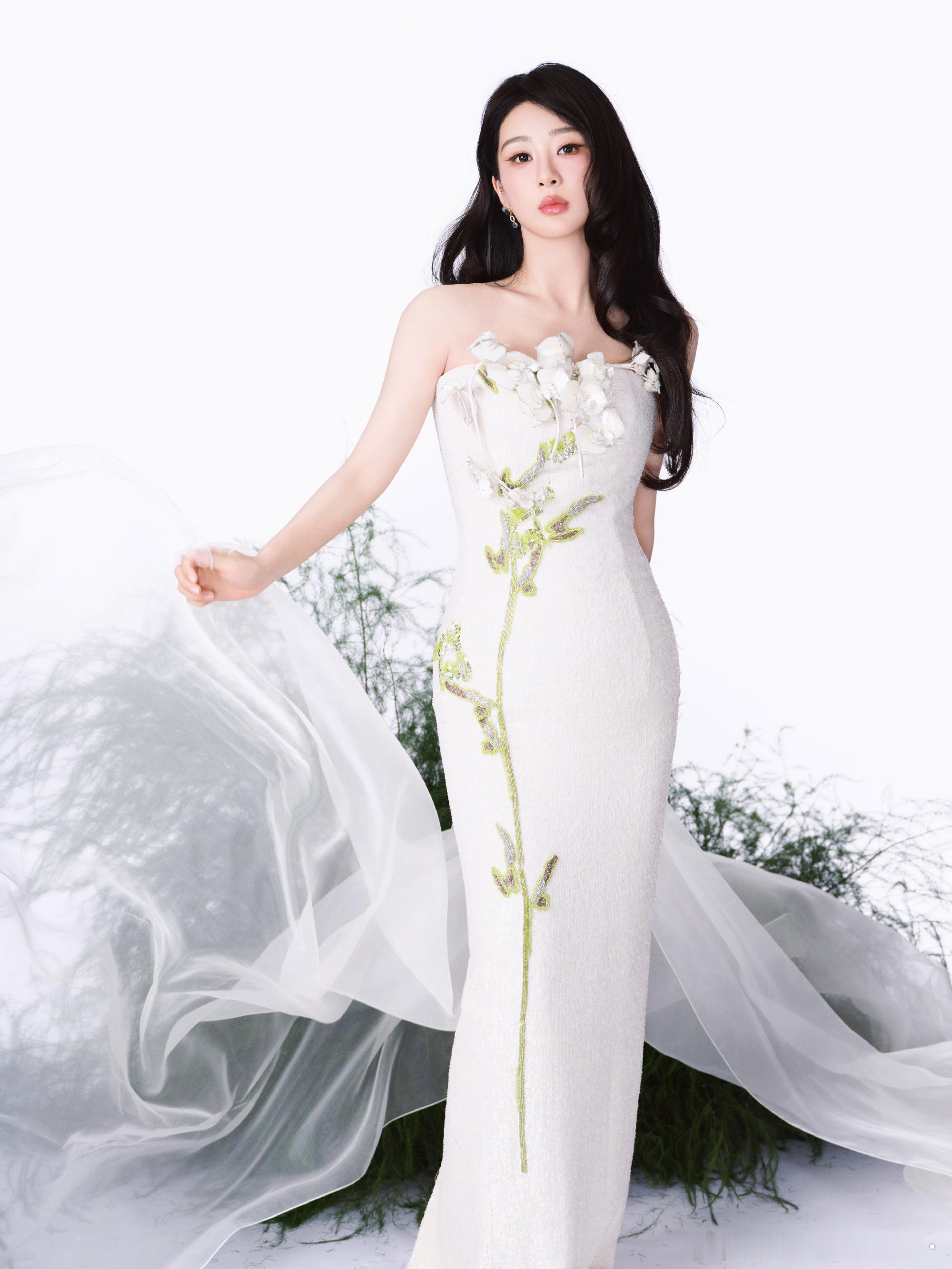 杨紫 ​​​