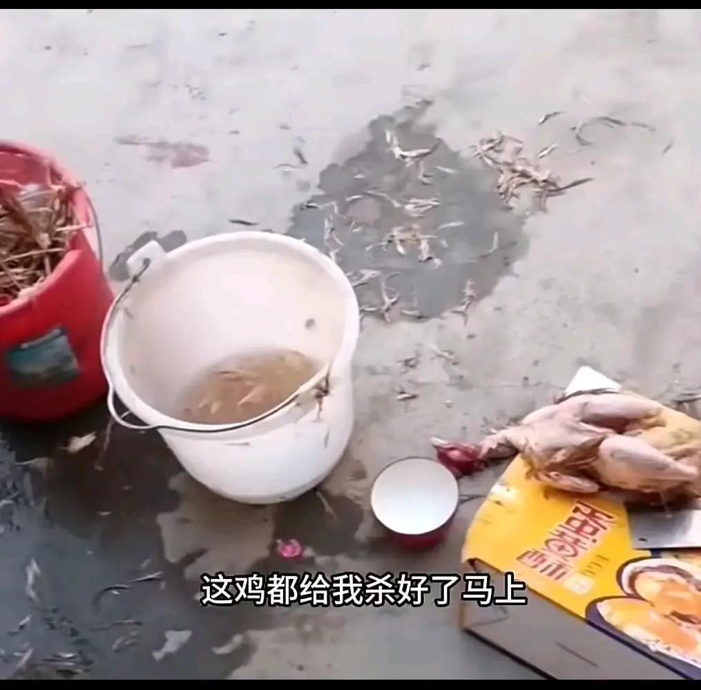 10岁男孩竟然偷偷把家里的鸡杀了，妈妈发现后震惊不已，直接罚孩子下跪反思！这究竟