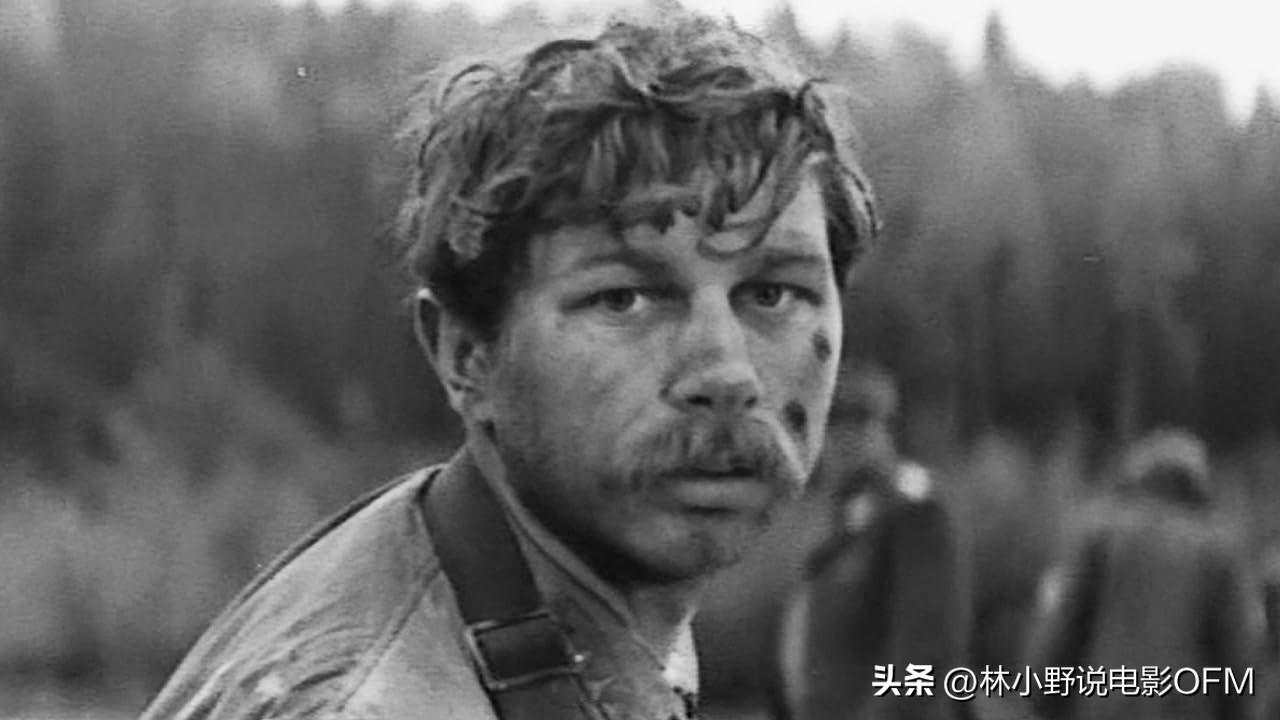 《这里的黎明静悄悄》导演在哈尔滨做家庭教师？！
这个是小编在作家梁晓声的小说《泯