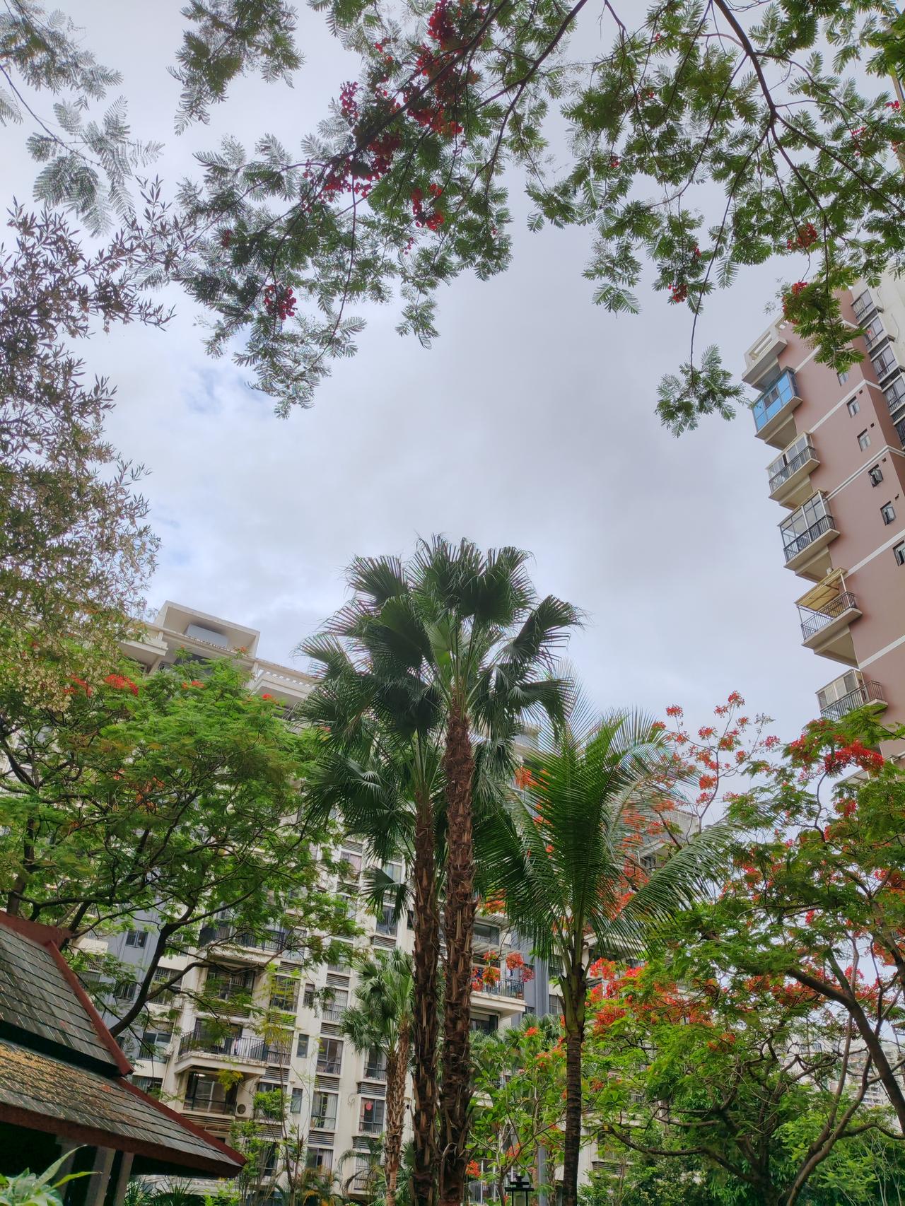 长鑫科技冲击IPO对股市影响可不小。港股券商股表现强劲，广发、招商、东方证券涨幅