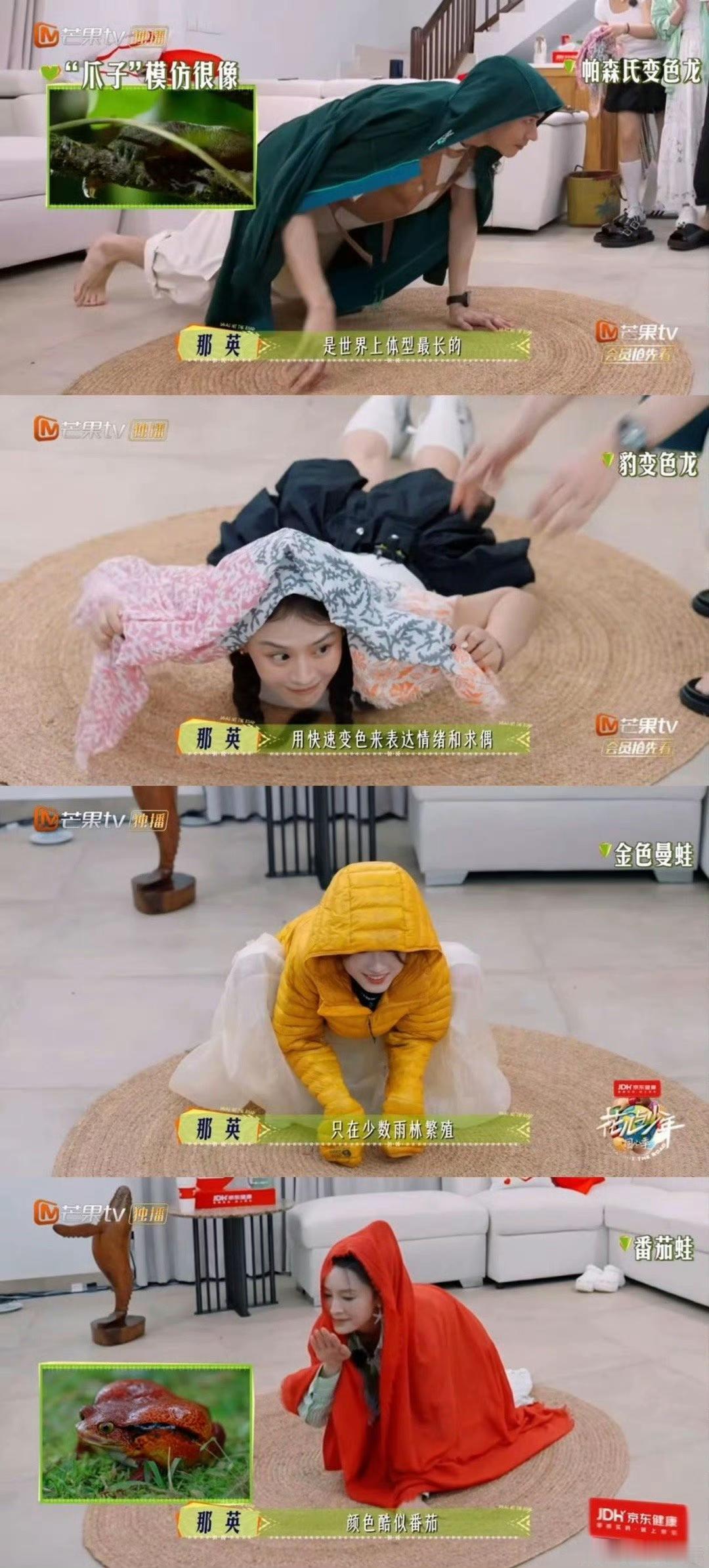 谁懂啊！陈数在《花儿与少年》的“土味行李”终于派上大用场了！
 
之前看她拖箱里