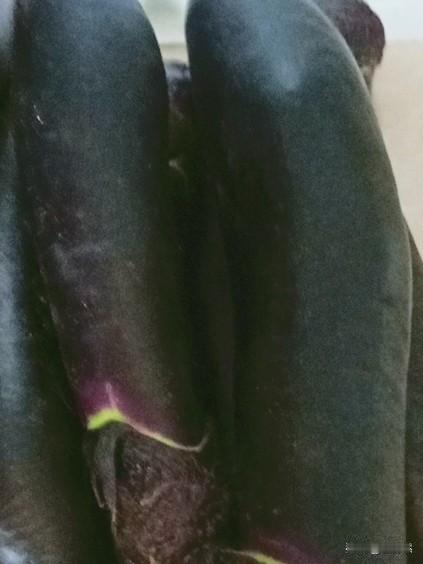 你知道买哪种蔬菜，吃不完放在那里几天也不会腐烂吗?

这些天我们这里阴雨连绵，买