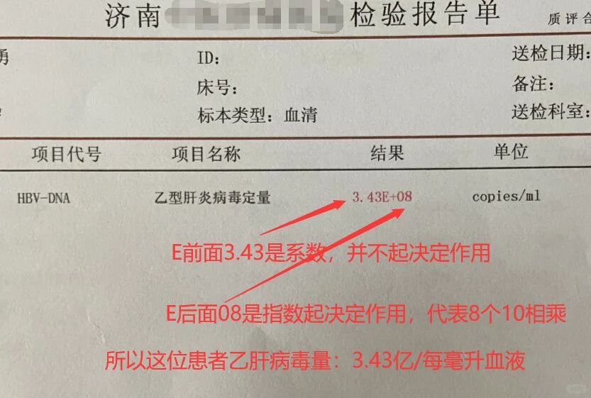 乙肝病毒定量怎么看？一张图教会你！