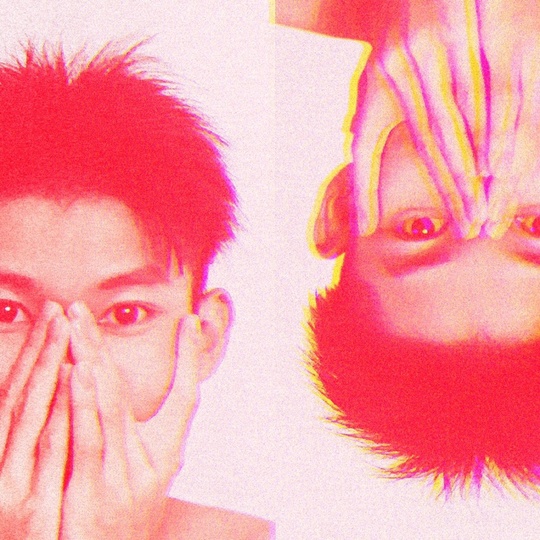 中国的黑虎子