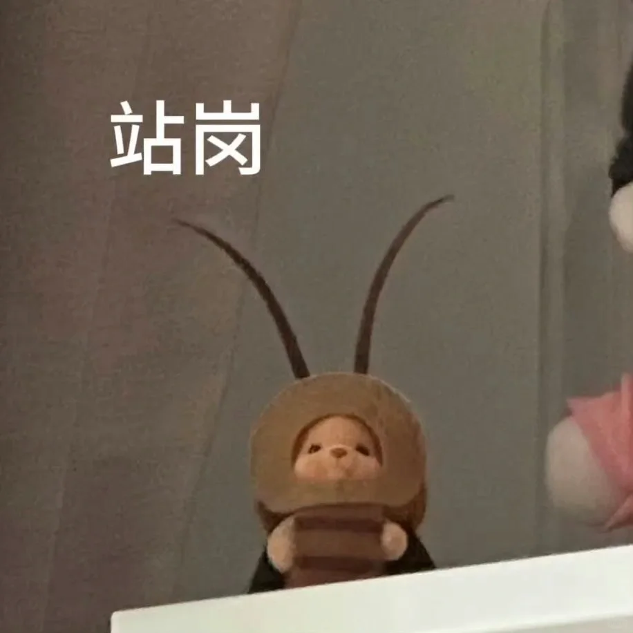 留下别人二十多岁最好样子的人是虞书欣吧
