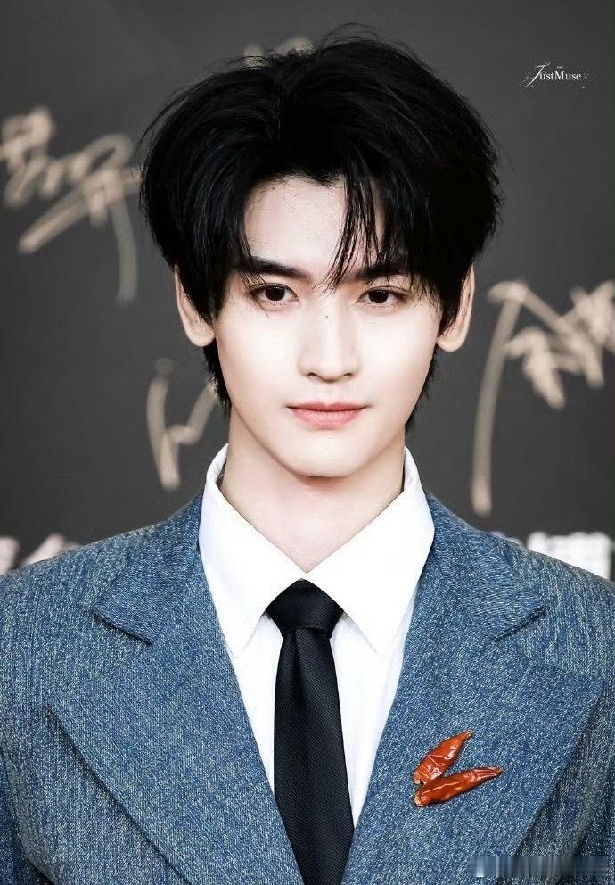 黄俊捷的胸针是辣椒黄俊捷你就仗着你长了一张权威的脸就开始乱搭吧咱们就是说谁能发现