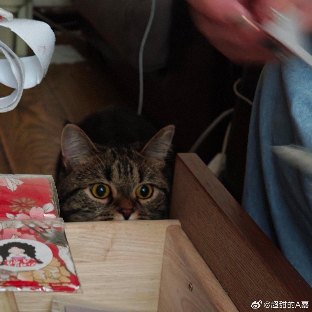 我和我妈收拾抽屉，oi be like： 