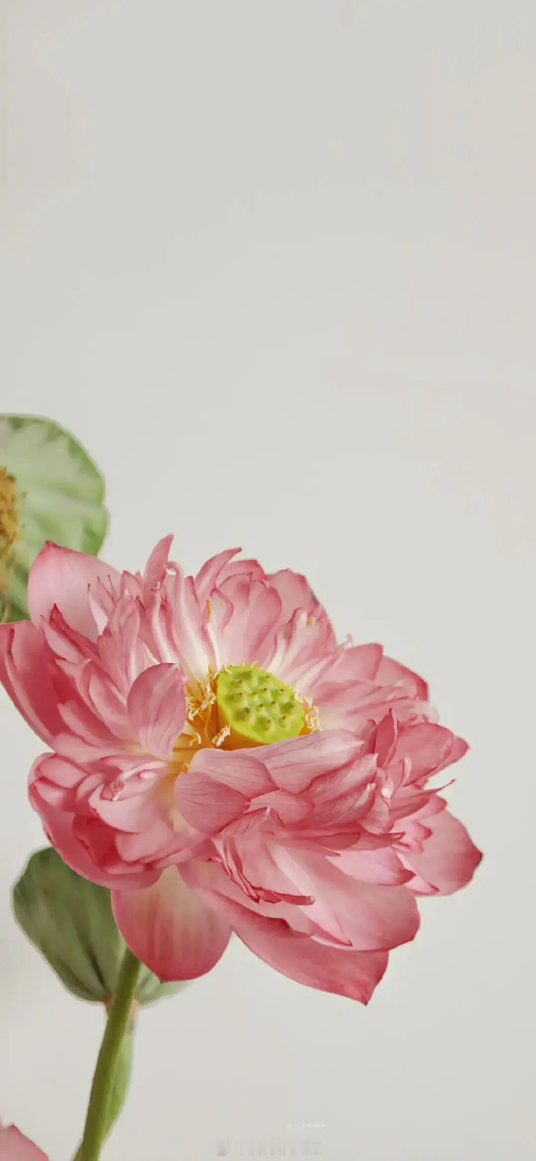 他送过不知多少人，见过不知多少场别离，临到自己身上，才知道原来不忍别离这么疼。早