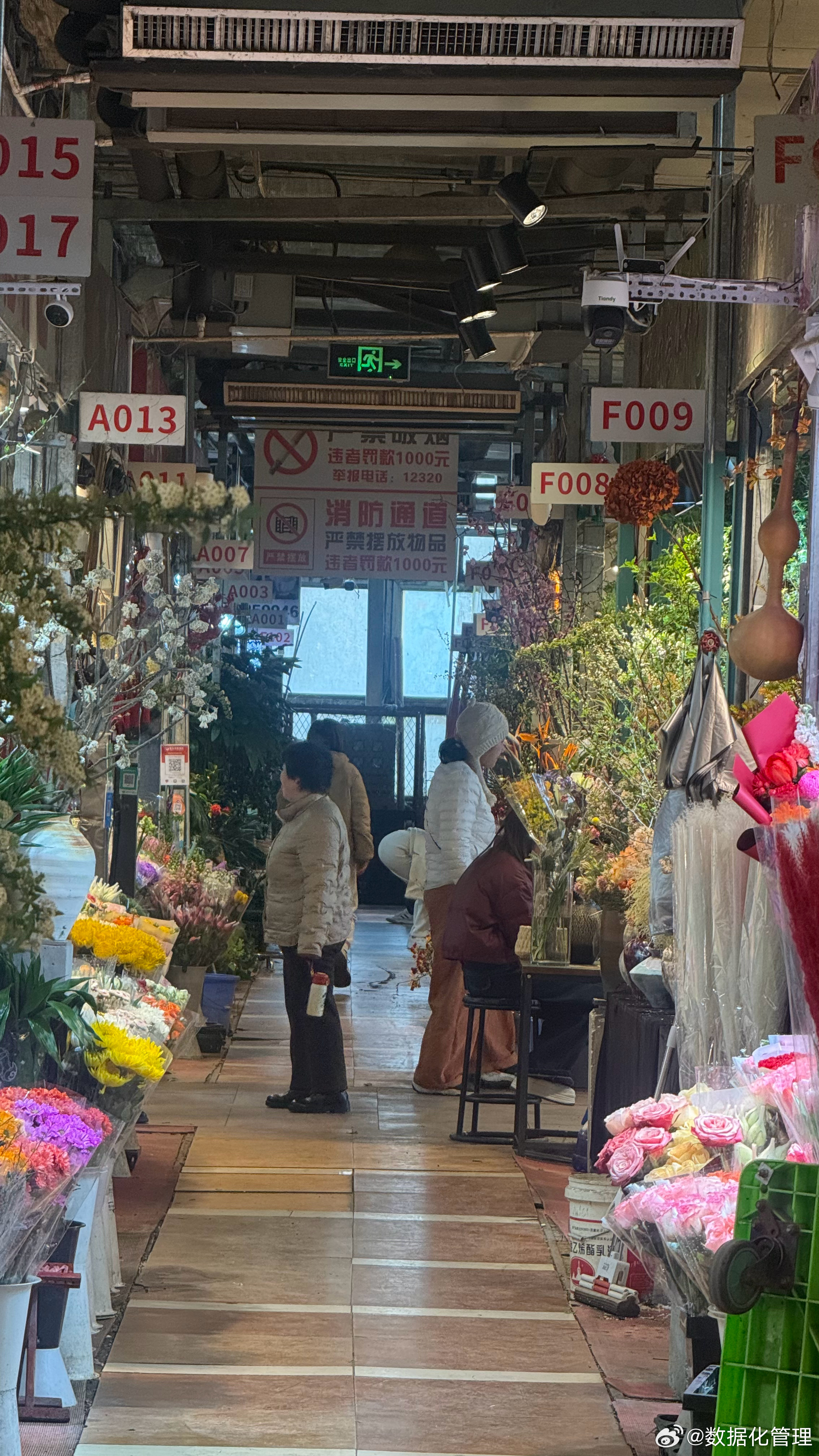 逛花市，补偿媳妇三八节的鲜花