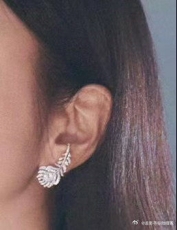 我勒个豆！！！！！周柯宇你小子好会啊把姐姐陈妍希戴过的耳环当胸针戴身上微博之夜红