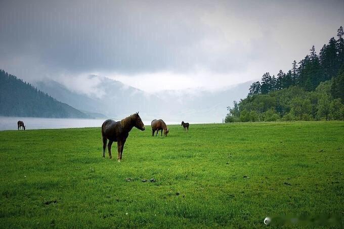 云南有个蜀都湖，位于迪庆香格里拉东北方。 via: 行走旅行人生#云南旅行# ​
