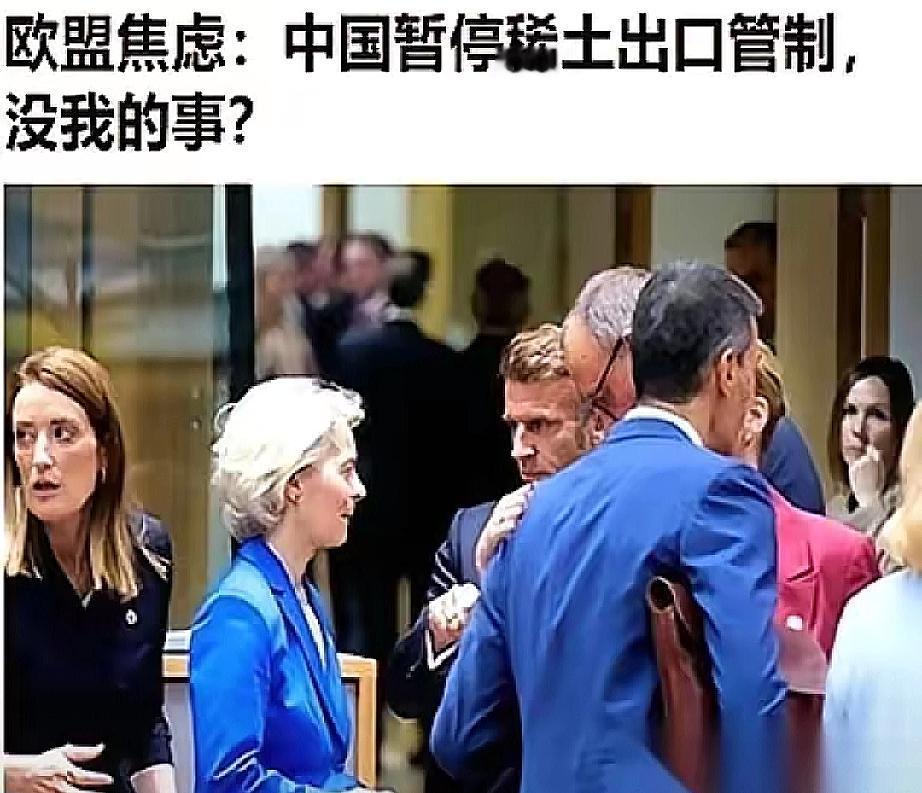 “我们以为中方的暂停措施适用于全球……”
这话从欧盟发言人嘴里说出来，我真的没忍