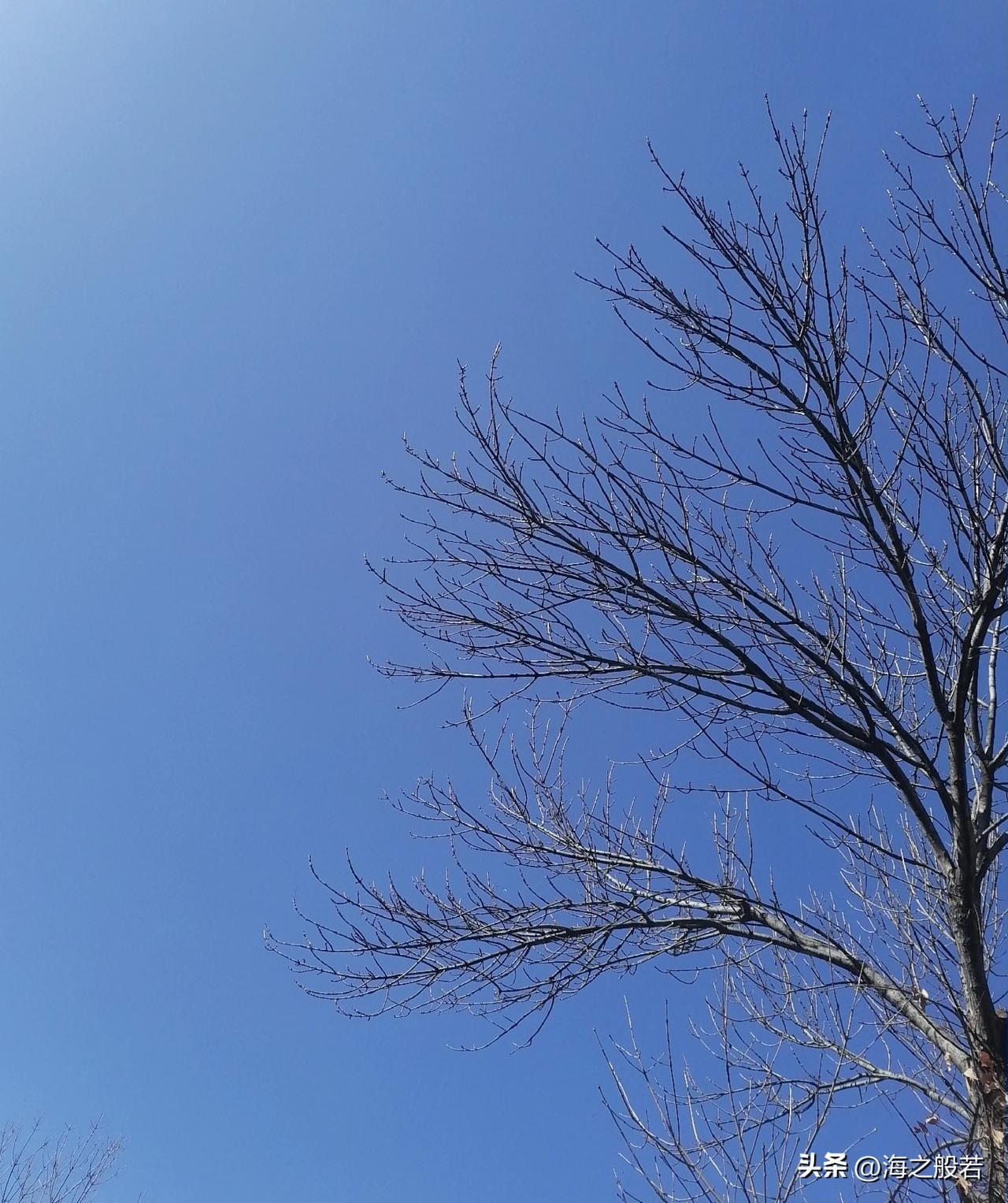 我微笑着走向生活

                  ——汪国真

我微笑着走