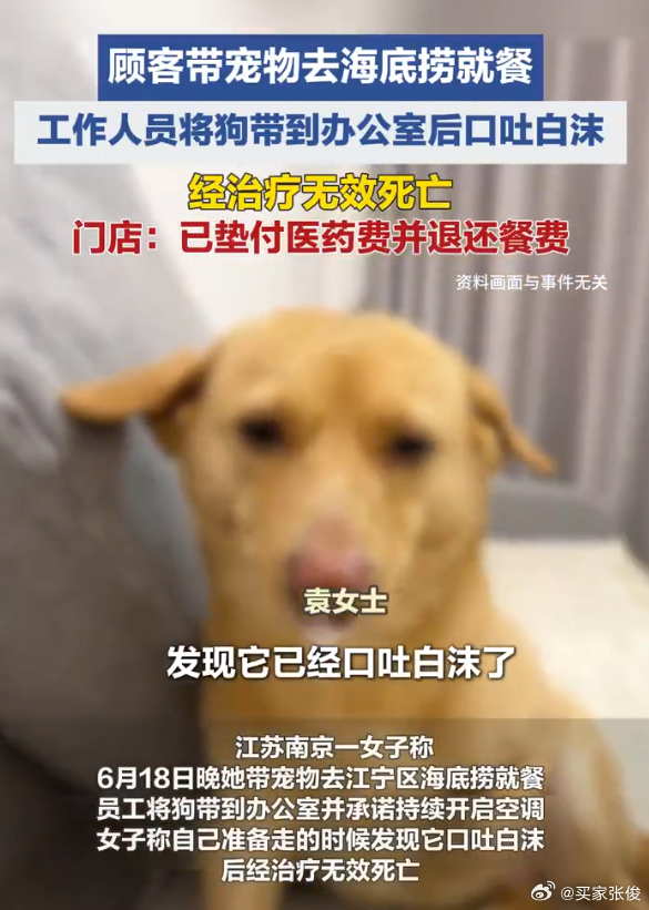 海底捞不让带狗进店，商场又可以带进去，商家专门在非就餐区搞了寄存区，但问题来是收