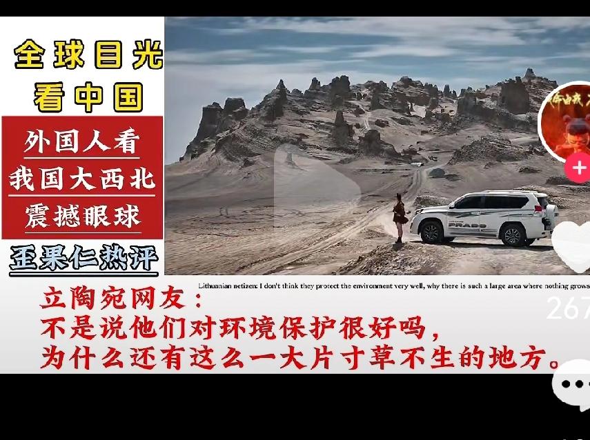 看了多个在头条转载的油管外网视频，下面回帖的有多个立陶宛网友，可以说几乎全部的立