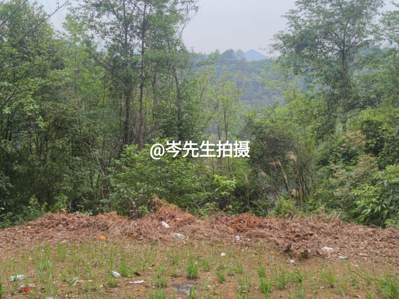 高山图大平，案外一匹马