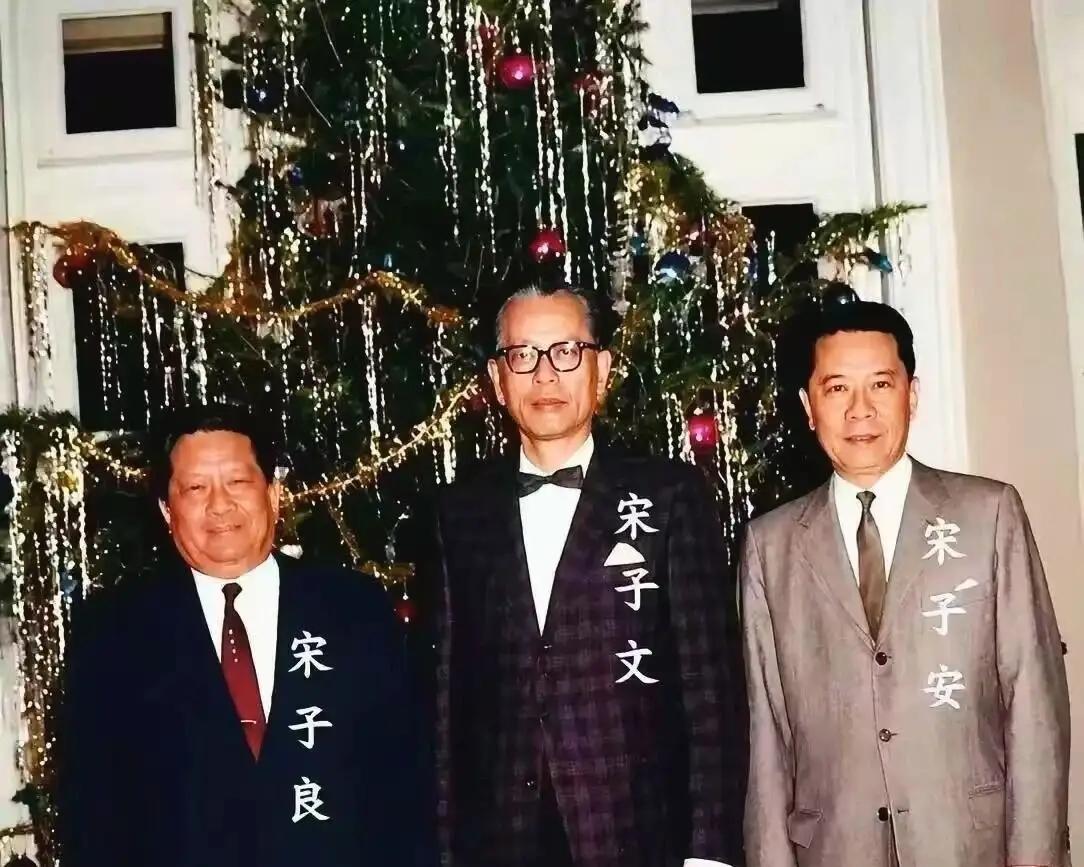 宋氏家族这个豪门，旺女不旺男。三姐妹名扬近代史，三兄弟命运各有坎坷。
大哥宋子文
