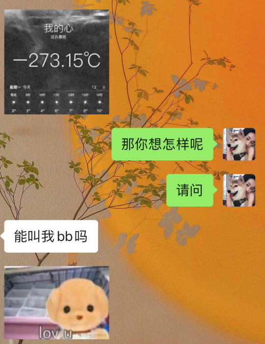 这个贱我必须犯