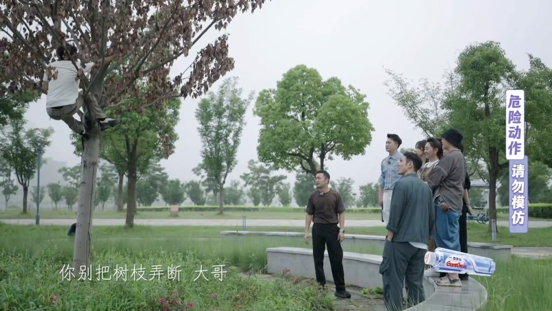 撒贝宁50岁的人三秒钟上树[傻眼]撒贝宁这身姿也太矫健了吧 ​​​