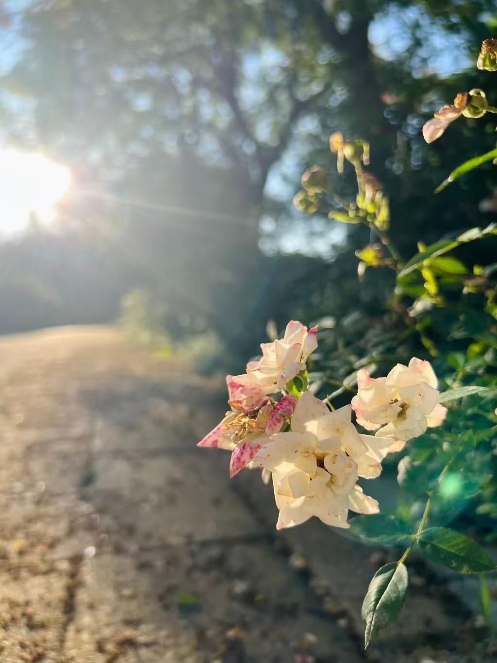 🍃 𝗺𝗼𝗿𝗻𝗶𝗻𝗴 𝘆𝗮♡生活就是个圈⭕️兜兜转转总会和美好