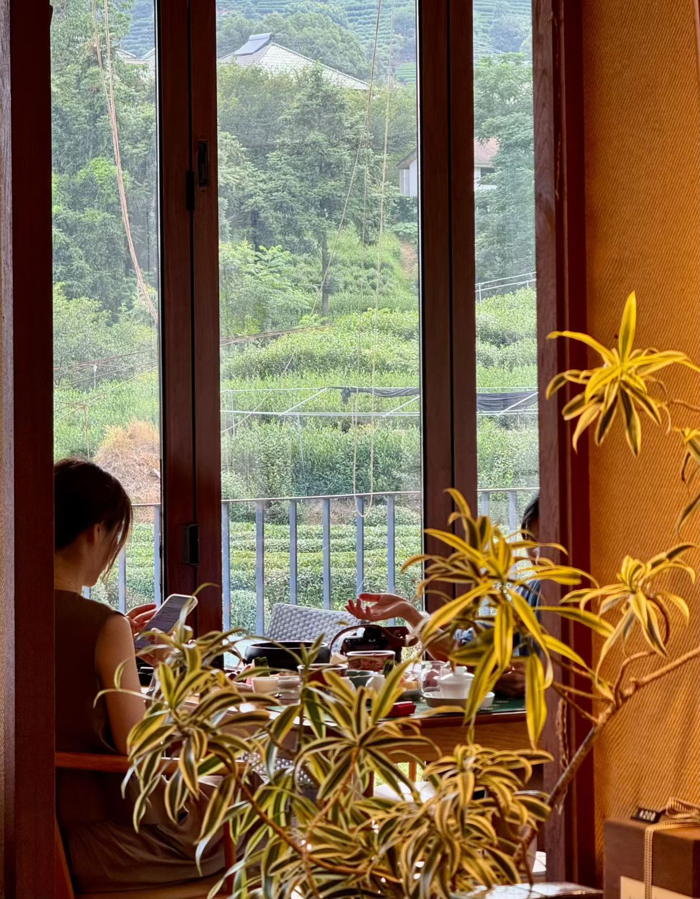品茶赏器交友  ♥️成年人不仅要多巴胺也要茶多酚🍵 