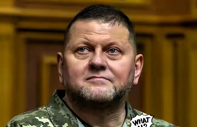 仗打完了，事就完了？乌克兰前总司令扎卢日内最近发出警告：等俄乌冲突一结束，乌克兰