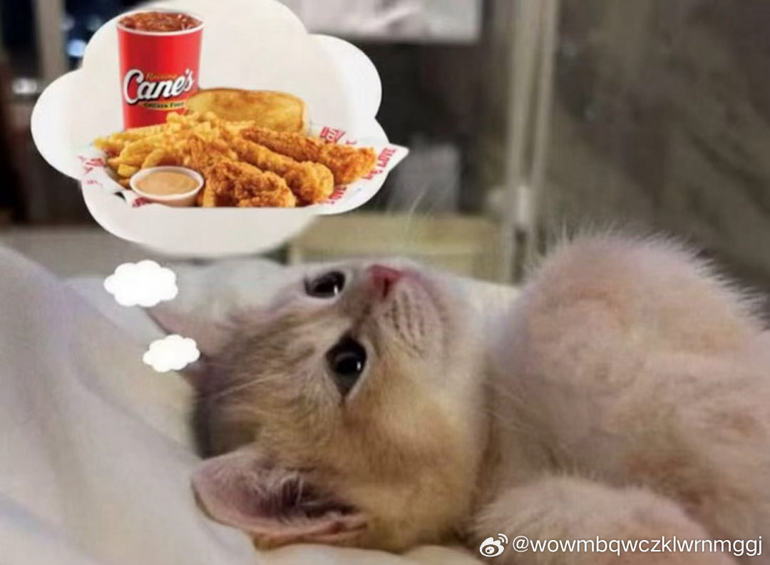 努力过，奋斗过，拼搏过，痛哭过，快乐过，就会发现人生终究不会辜负你。那些洒下的汗