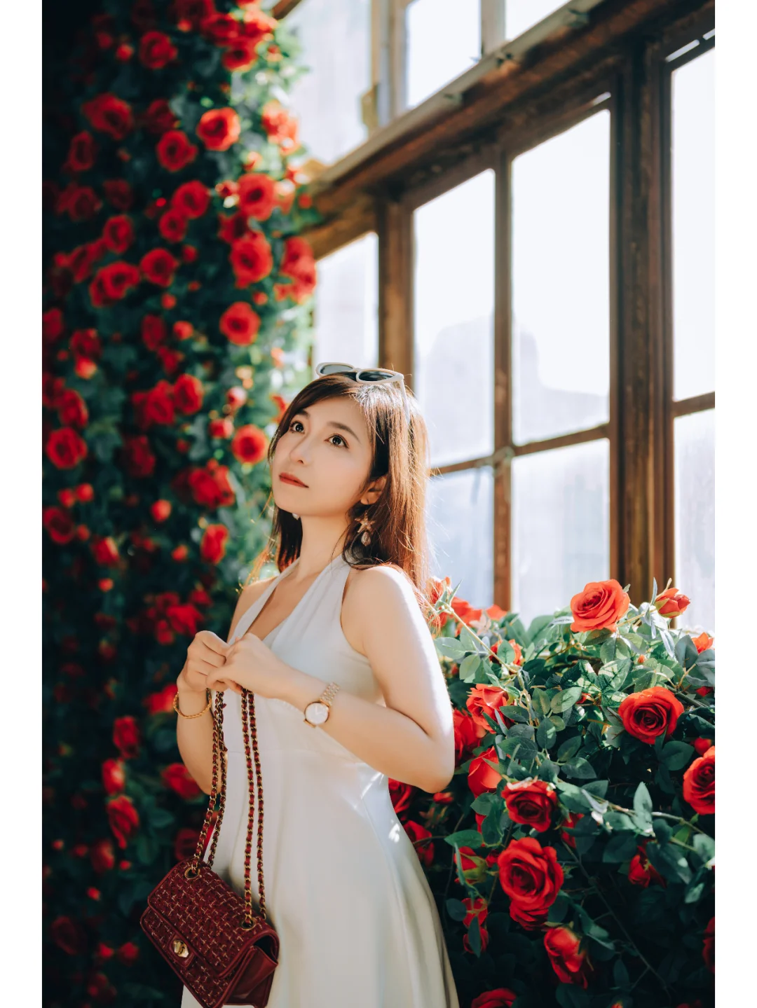 边走边拍~幸运花墙