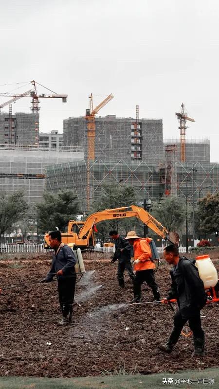 越来越多的打工人可能现在已经察觉了，

现在是越来越多的工厂和企业采取的是劳务派