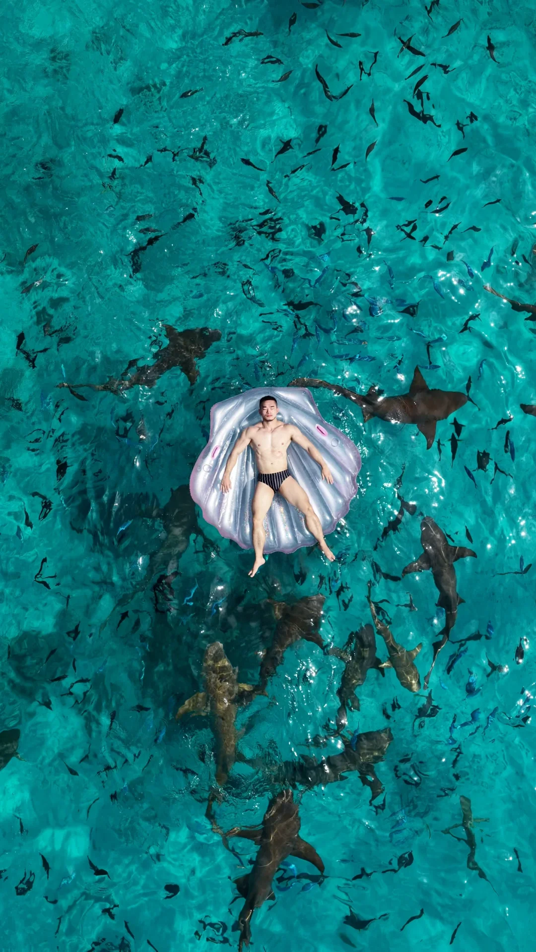 怀念在马代潜水的日子👀