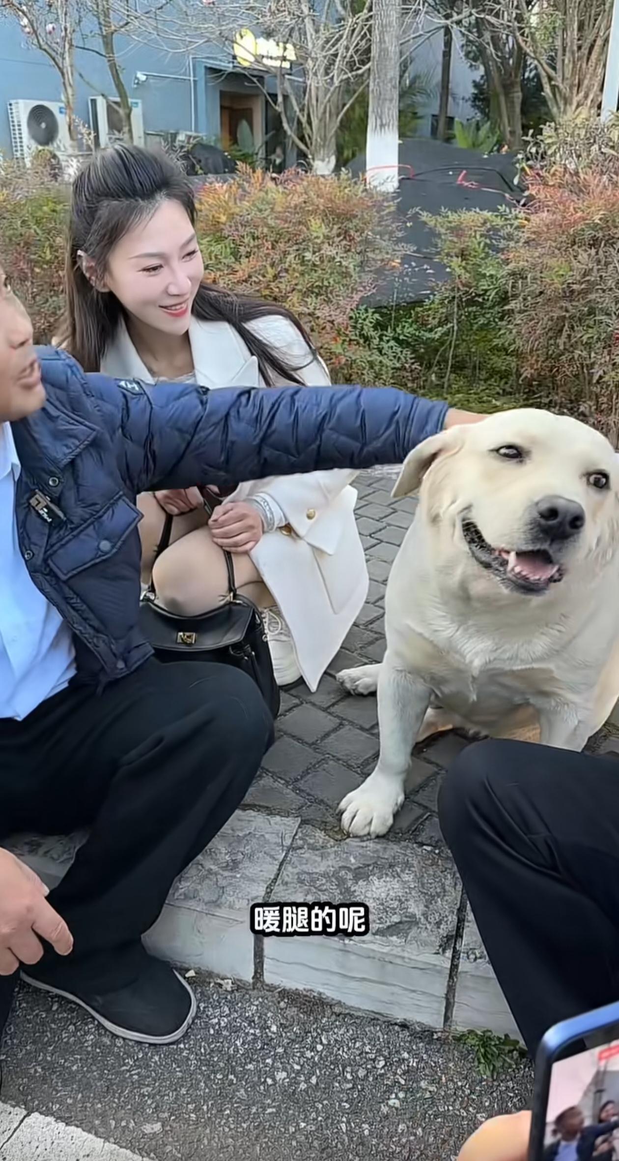 沈巍云南之行遗憾中有所得就是这只拉布拉多，所以他索性就叫它“云德”。沈巍对这只流