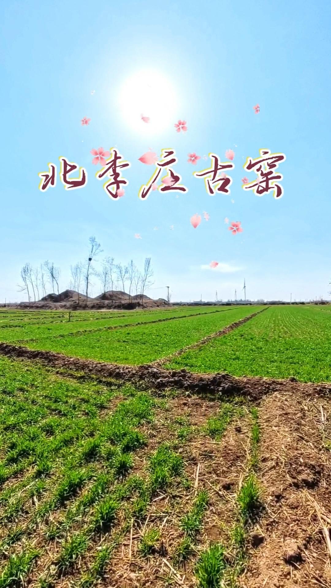 北李庄在广宗县极北之境，与南宫市交界。相传，此地旧有王家庄，今犹存王家井之名。明