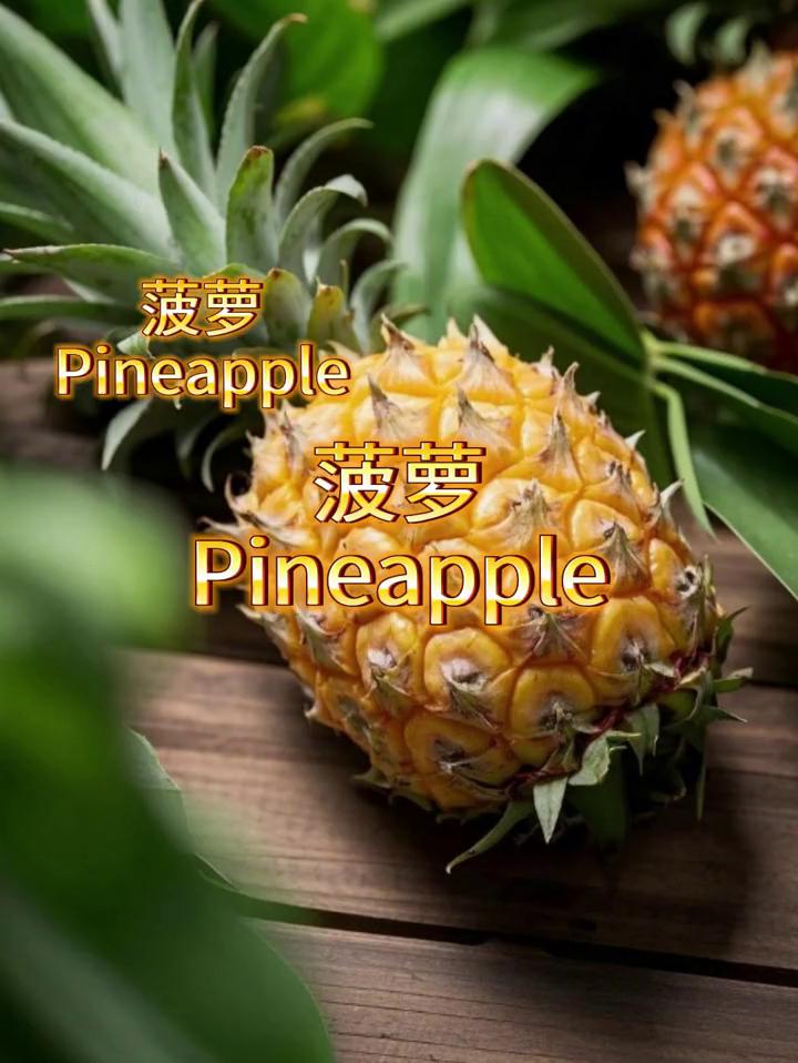 菠萝。
Pineapple。