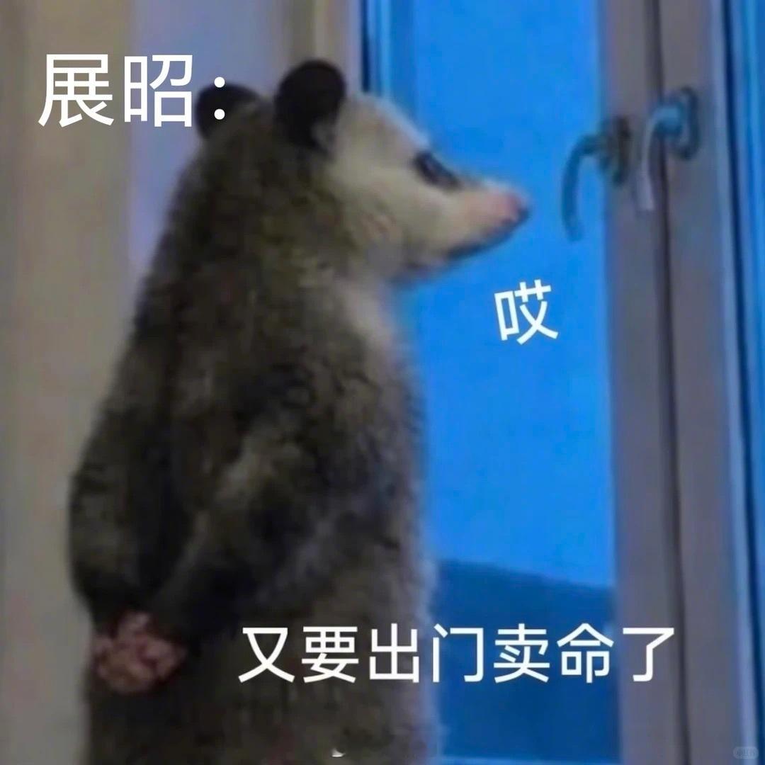 电视剧雨霖铃雨霖铃 负鼠版好形象！！！展昭建议改成：那些打不死我的一直在打我 