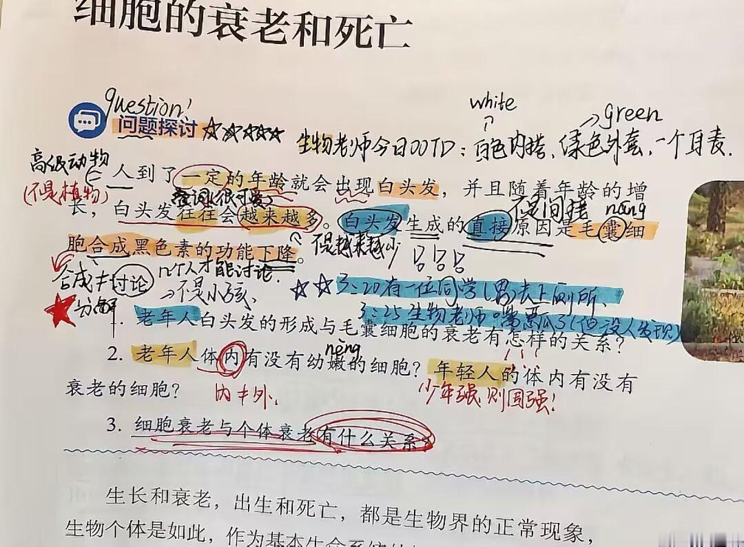 6535我努力程度belike： 