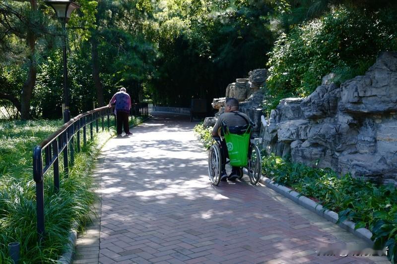 现代社会中，即便儿女双全，晚年生活也未必有保障。当子女成家立业后，他们首要承担的