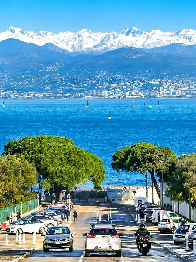 南法毕加索小镇Antibes🌊通往大海的路绝美！