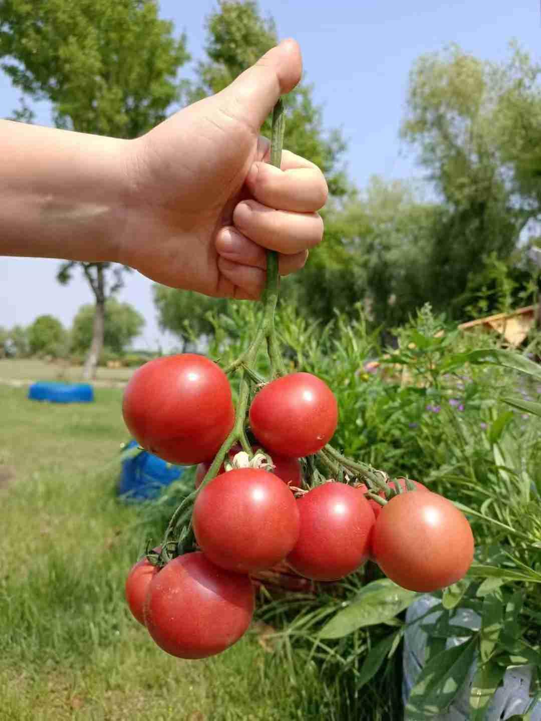 我的今日状态：🏃‍➡️运动
我这里的天气：☀️晴天