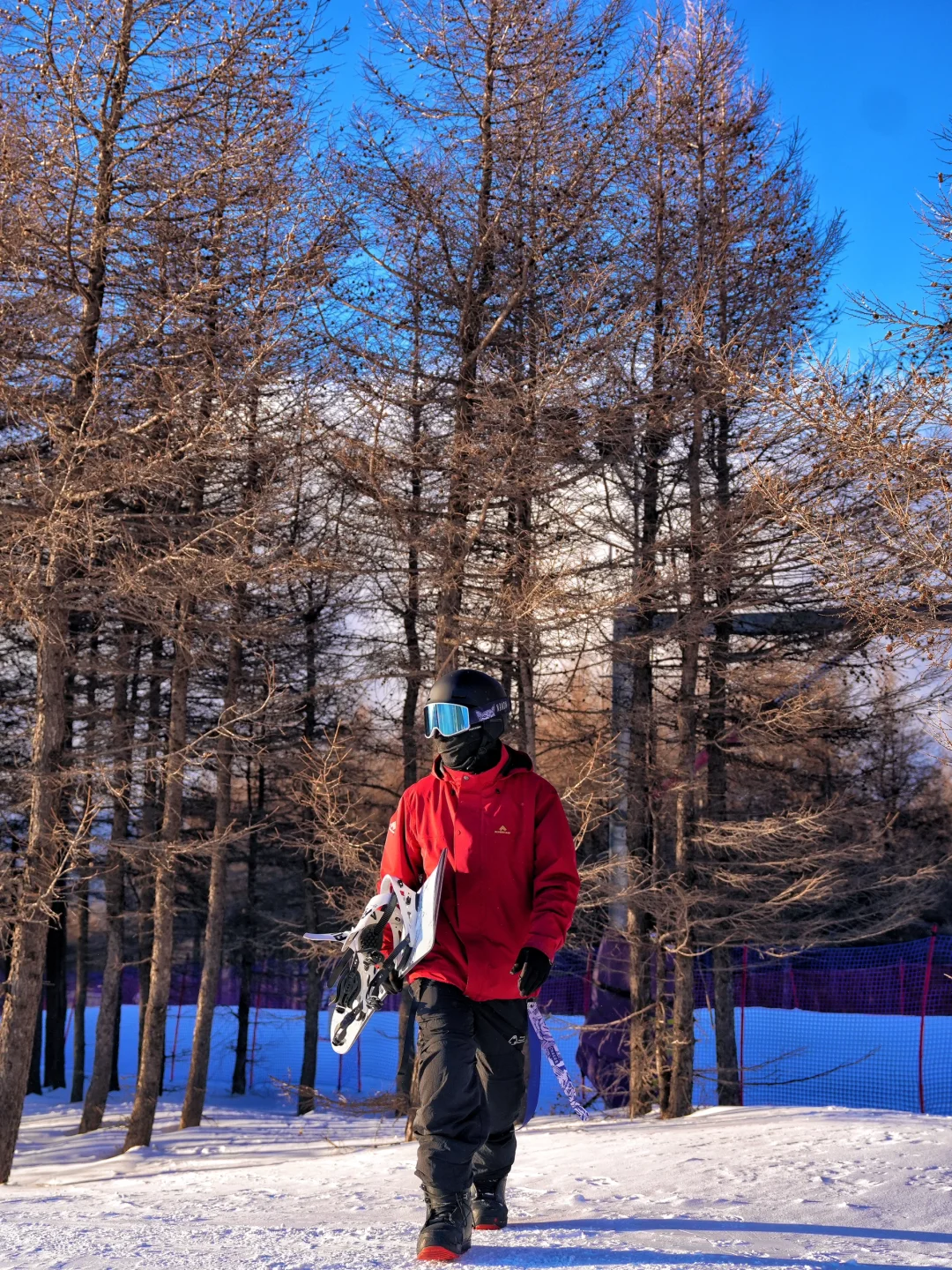 北京1h直达🚄万龙滑雪⛷️2天1晚保姆级攻略‼️