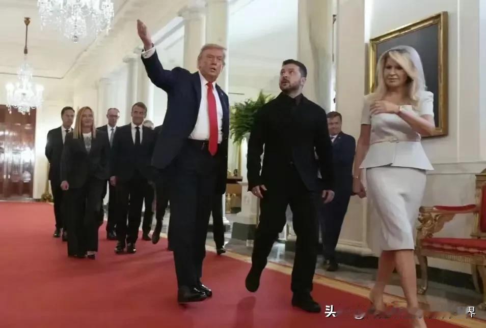 华盛顿会晤期间，美国总统抽空问了一下乌克兰的选举问题。泽连斯基称要举行选举，就必