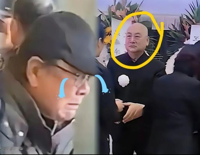 瞧见73岁的迟重瑞送别陈丽华，我倒没太动容。

可一看见“孙悟空”和“八戒”也赶