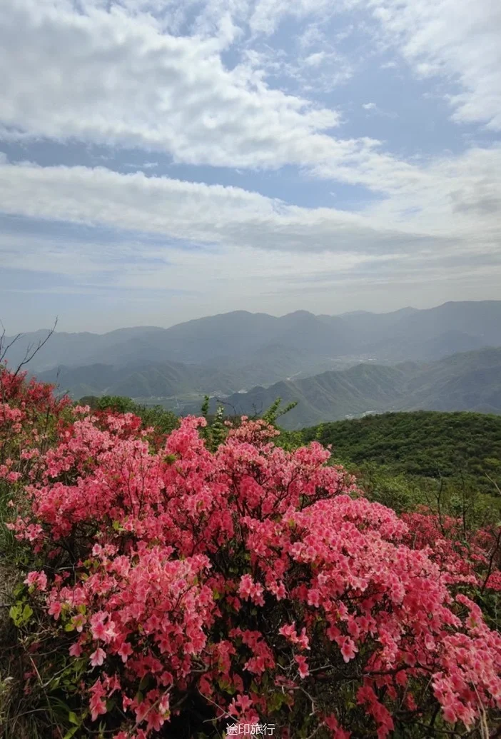 徒步杭城十大最美山峰鸬鸟山 看漫山杜鹃花