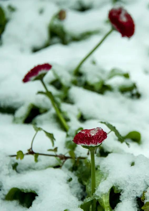 上联：雨下千条线，邀对下雪飘万朵花