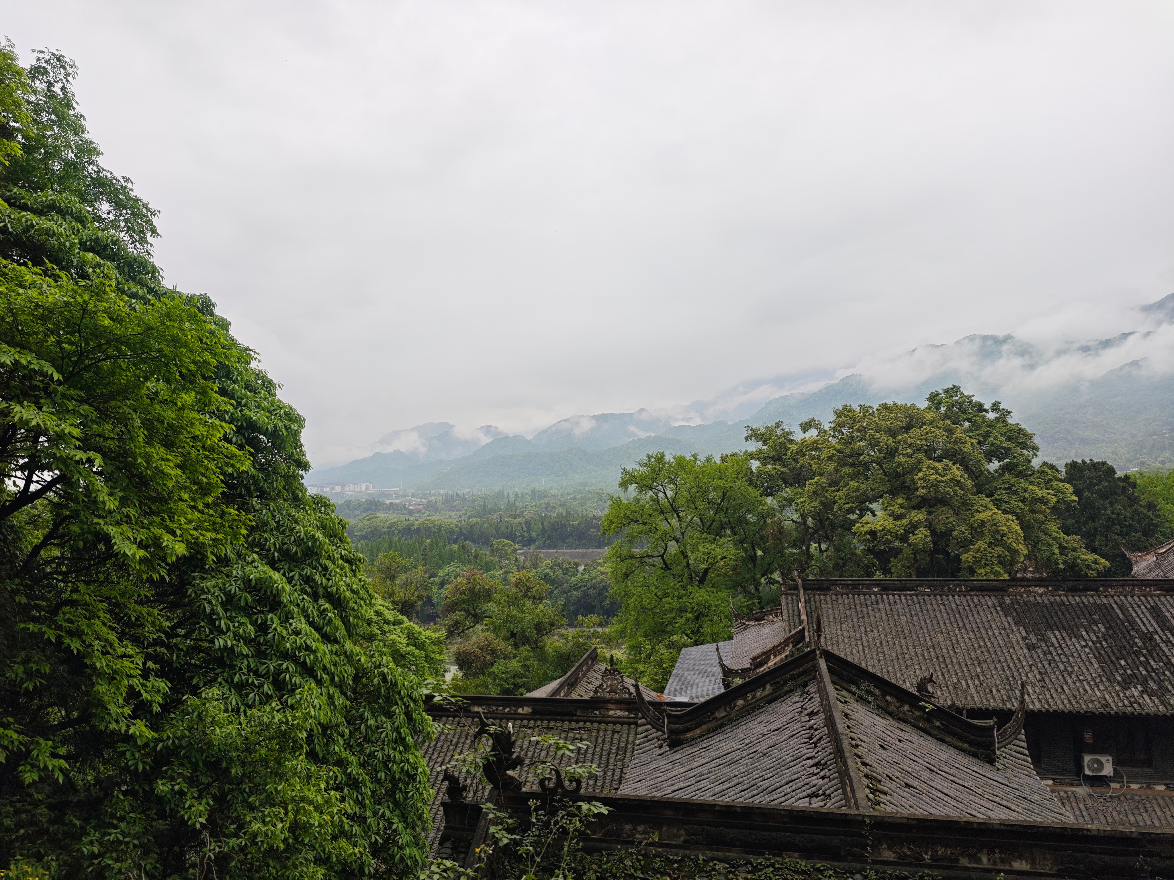 早啊兄弟们，距离端午假期还有21天！又周五了，时间过得真快