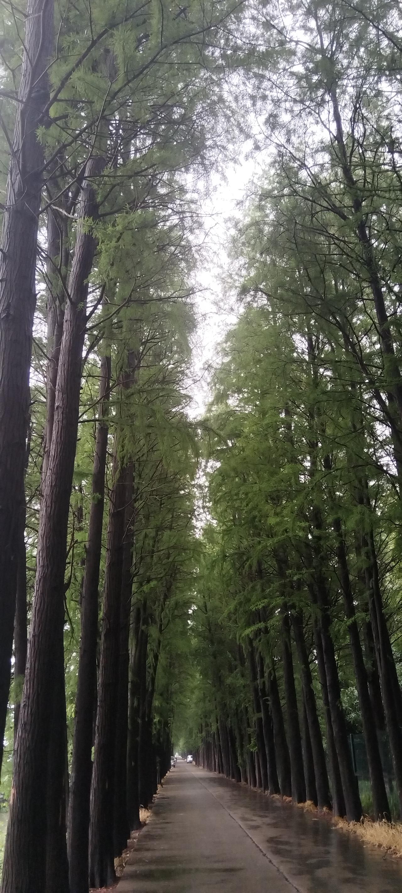 每日一图随手拍