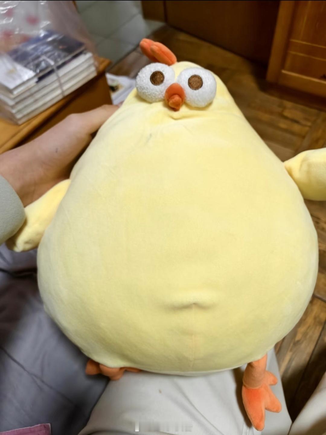 这鹦鹉喂的什么，都长成只🐔了