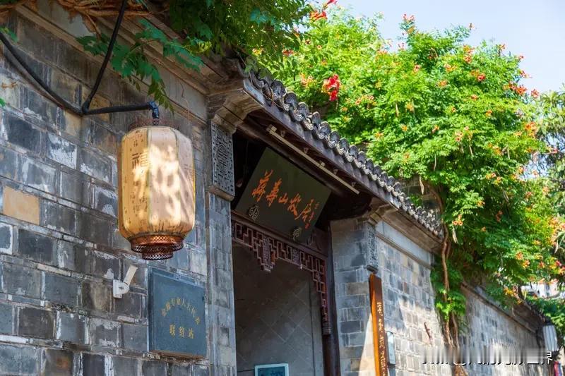 南京赏秋，老门东绝对是宝藏地。每年十月下旬至十一月中旬，老门东的乌桕就美出了新高